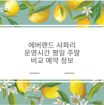 에버랜드 사파리 운영시간 평일 주말 비교 예약 정보