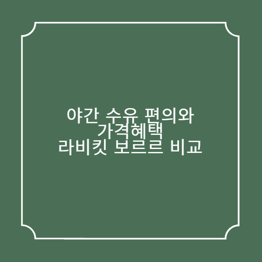 야간 수유 편의와 가격혜택 라비킷 보르르 비교