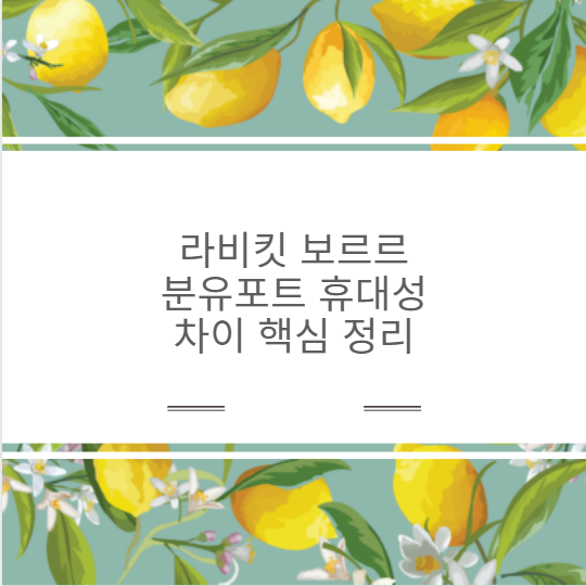 라비킷 보르르 분유포트 휴대성 차이 핵심 정리