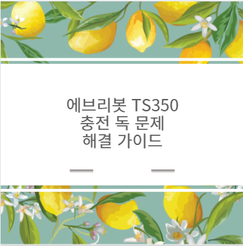 에브리봇 TS350 충전 독 문제 해결 가이드