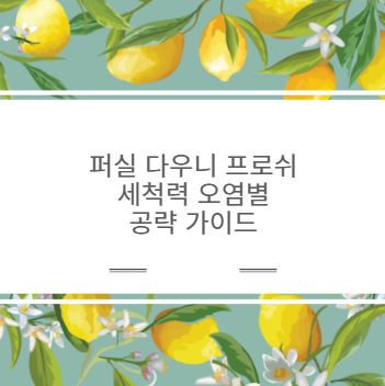 퍼실 다우니 프로쉬 세척력 오염별 공략 가이드