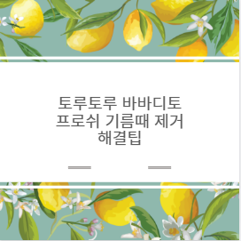 토루토루 바바디토 프로쉬 기름때 제거 해결팁