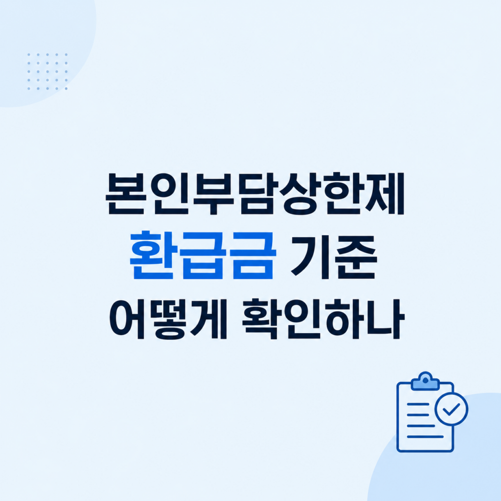본인부담상한제 환급금 기준 제외 비용 기준