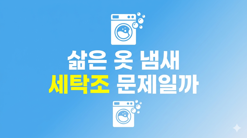 삶은 옷 냄새 원인을 세탁조에서 확인하는 장면
